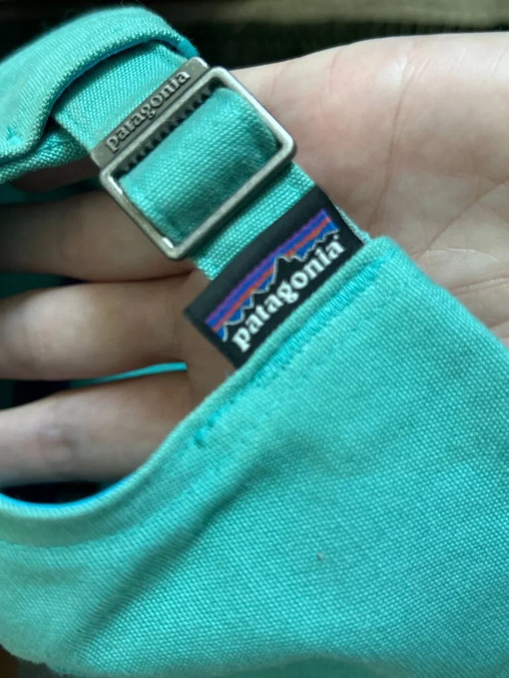 Patagonia P-6 Logo Trad Cap Seafoam Green Adjustable Dad Hat Organic Cotton